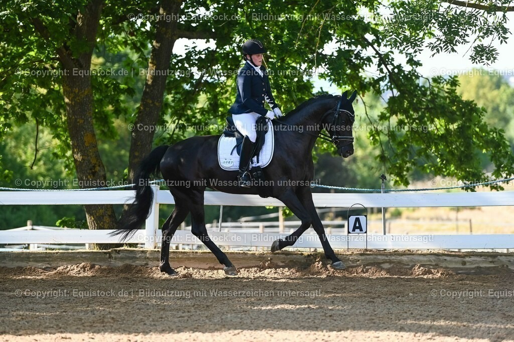 20230715_06_Dressurpferdeprfg. Kl.A_0173 | equistock