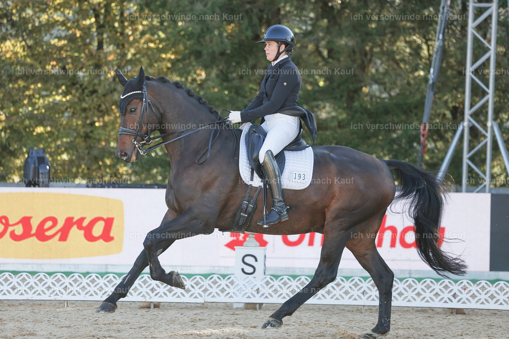 09_1-193-DRESSUR  S_  -StoibPH-5492 | working equitationturnier fotograf videograf stoibphotography marixx film working equitation deutschland reitsport turnierfotografie eventfotografie equestrian events