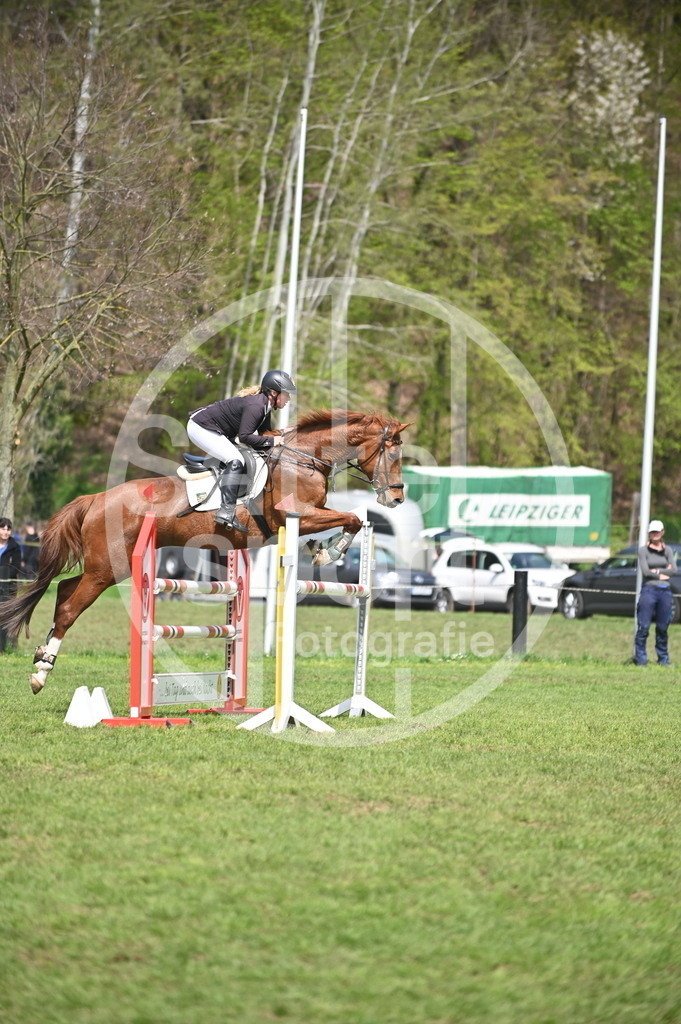 DSC_2541 | sattelsport - Realisiert mit Pictrs.com