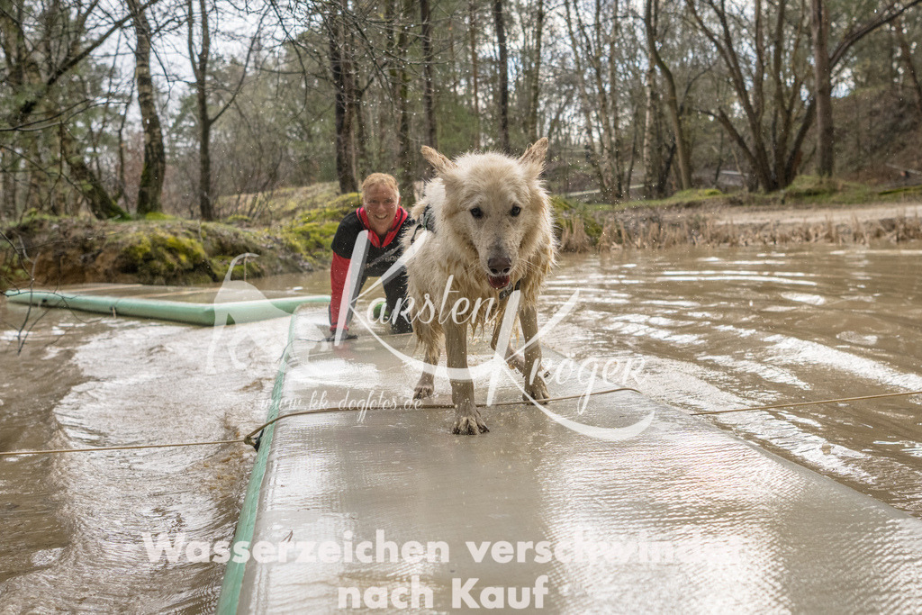 1303_ZZ94184 | kk-dogfotos
