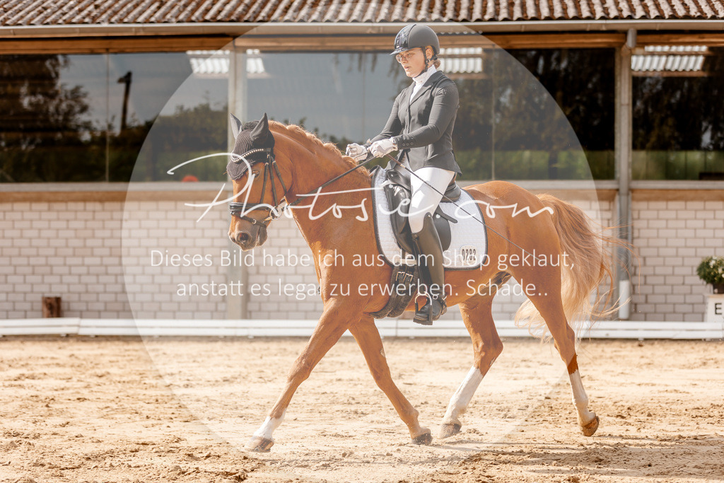 3I6A3546 | Stimmungsvolle Portraits und Reitsportfotografie im Ruhrgebiet und im Münsterland.

Pferdefotografie, Hundefotografie, Tierfotografie, Reportagen, Portraits von Tier und Mensch, Turnierfotografie in Bochum, Recklinghausen, Marl, Haltern am See, Dülmen.. - Realisiert mit Pictrs.com