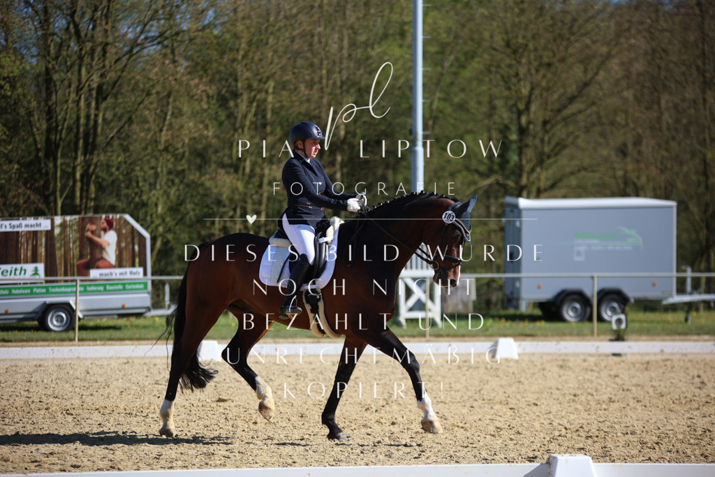 IMGT9072 | pl-fotografie