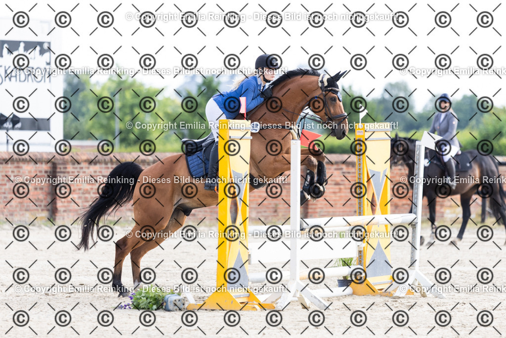 CL5A6073 | Emilia Reinking Fotografie - Realisiert mit Pictrs.com