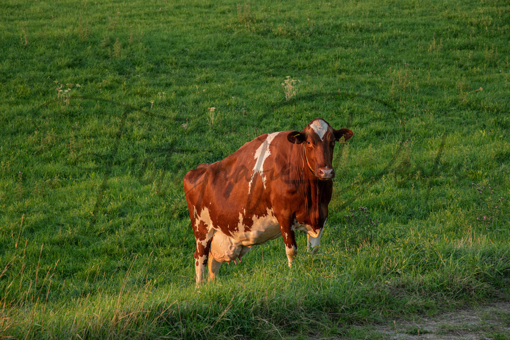 Landschaft-1-16 | fotografie-derks - Realisiert mit Pictrs.com
