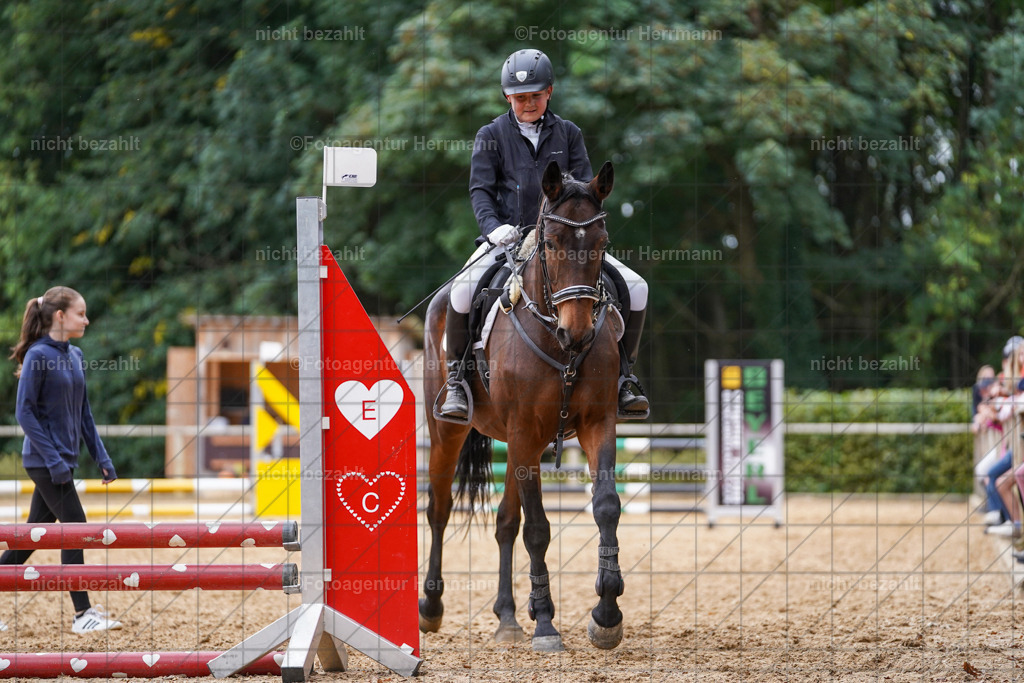 20231008-SN_01647 | Diessen am Ammersee, 2023, Dressur- und Springturnier, Reitsport, Turnierfotografie, Pferdebilder, Reitbilder, Turnierfotografen Bayern, Fotoagentur Herrmann