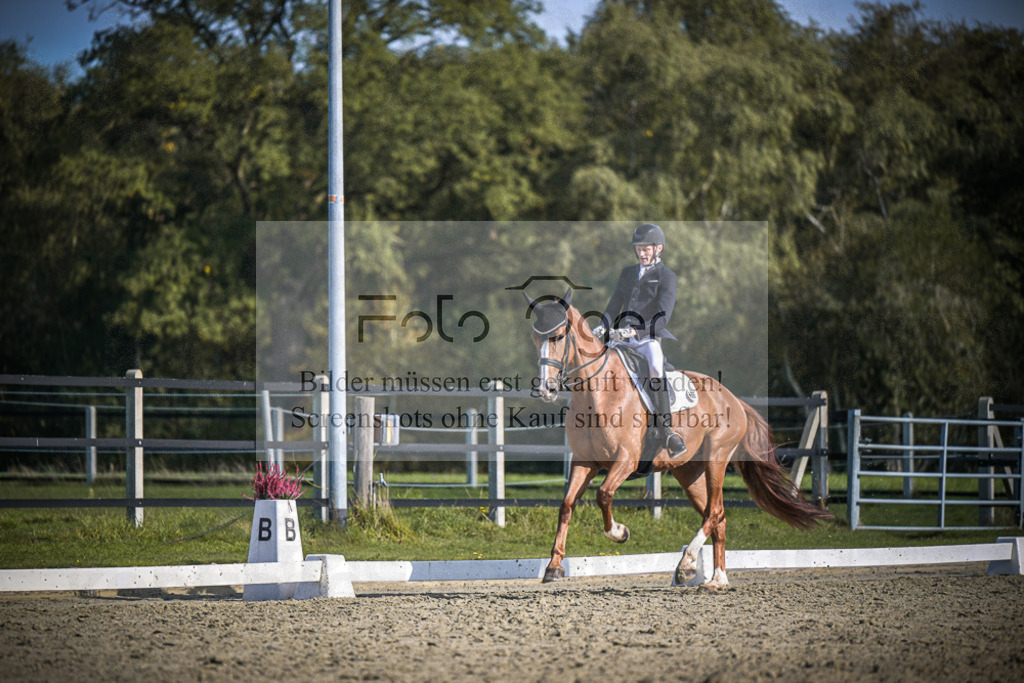 DOS_3565 | Entdecke hochwertige Reitturnierfotos von Foto Oger. Professionell, emotional und authentisch – jetzt Lieblingsmomente im Shop bestellen.Deutschlandweite Turnierfotografie. - Realisiert mit Pictrs.com