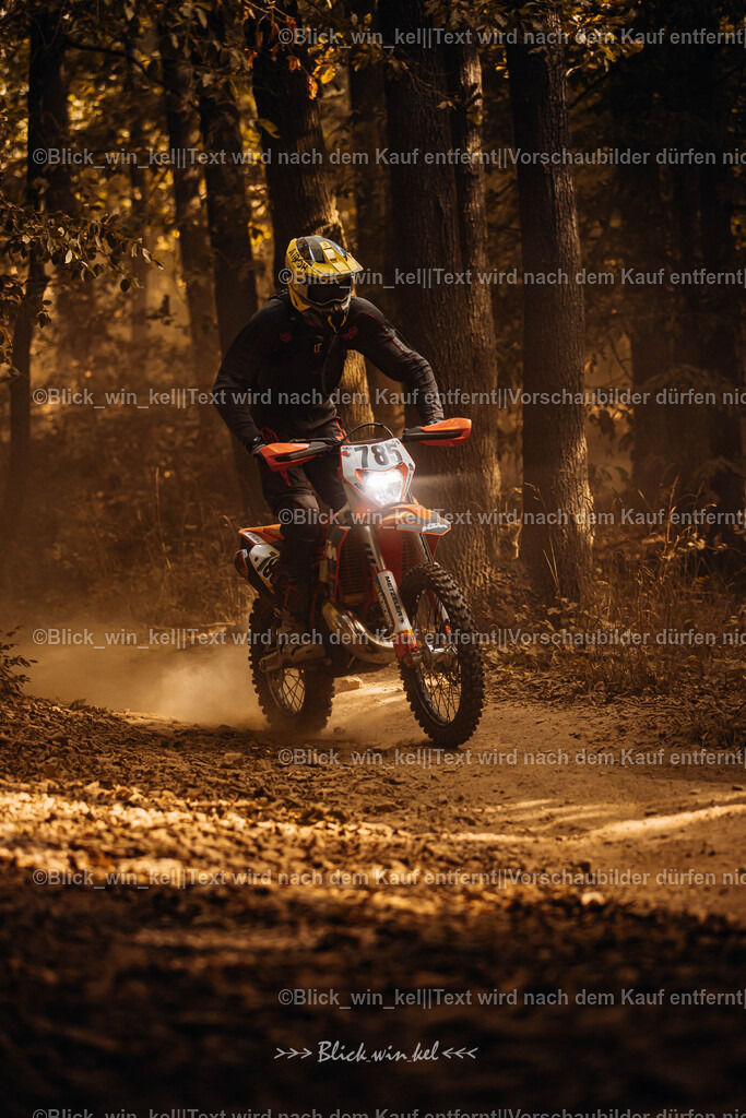 E68A7862 | blick_win_kel