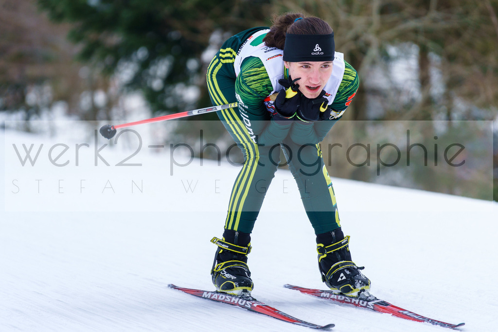 DSC Arber | Bayerischer Wald am 9. bis 12. Februar 2023
