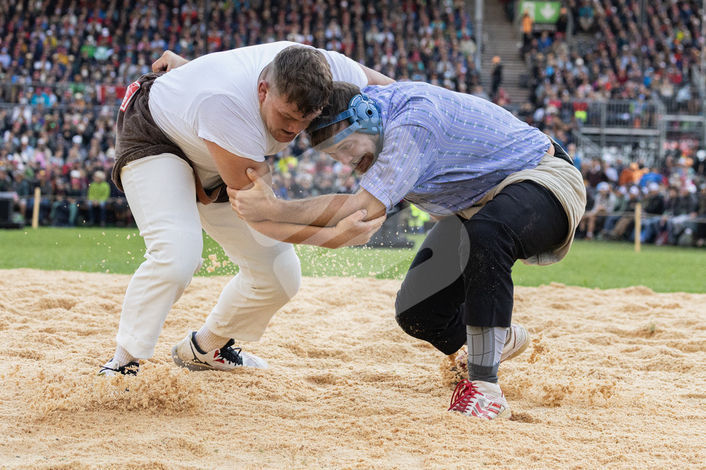 ESAF2025_05Gang_5993 | Die Schwinger des Schwyzer Kantonalen Schwingerverbandes: Fotos, die Dynamik und Leidenschaft festhalten, sowie emotionale Momente aus dem traditionellen Schwingsport zeigen. - Realisiert mit Pictrs.com