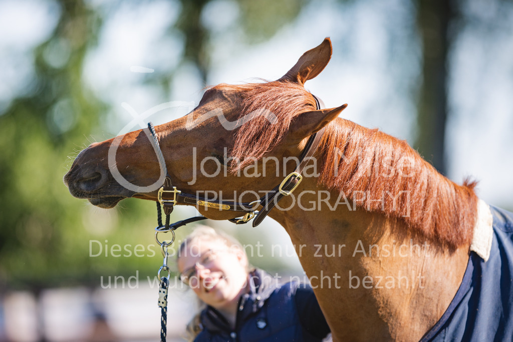 220603_CSI-Wohlde_Chillen-18 | CSI** Wohlde
Chill Out Area
03.06.2022