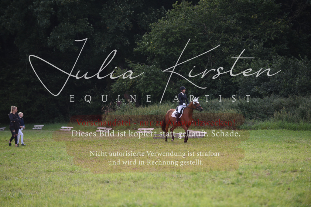 DSC_8585 | Pferde- und Turnierfotografie in Westsachsen. Pferdeportraits, Auftragszeichnungen und intuitive Kunst.