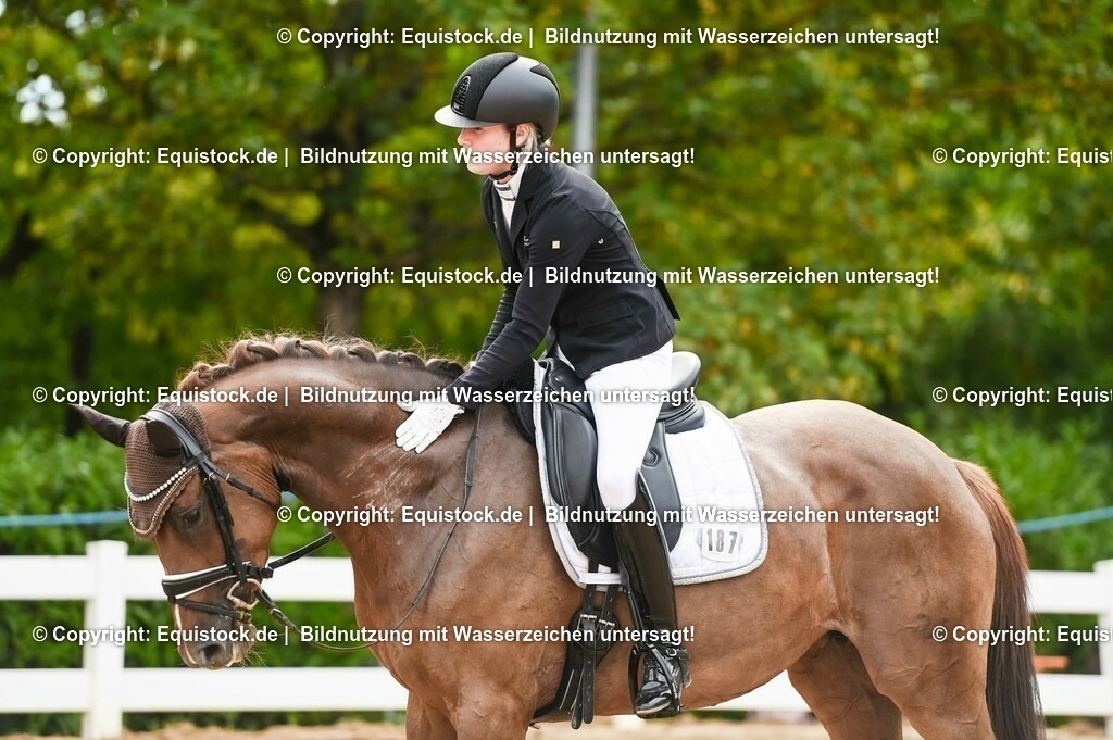 20230715_07_Dressurpferdeprfg. Kl.L_0072 | equistock