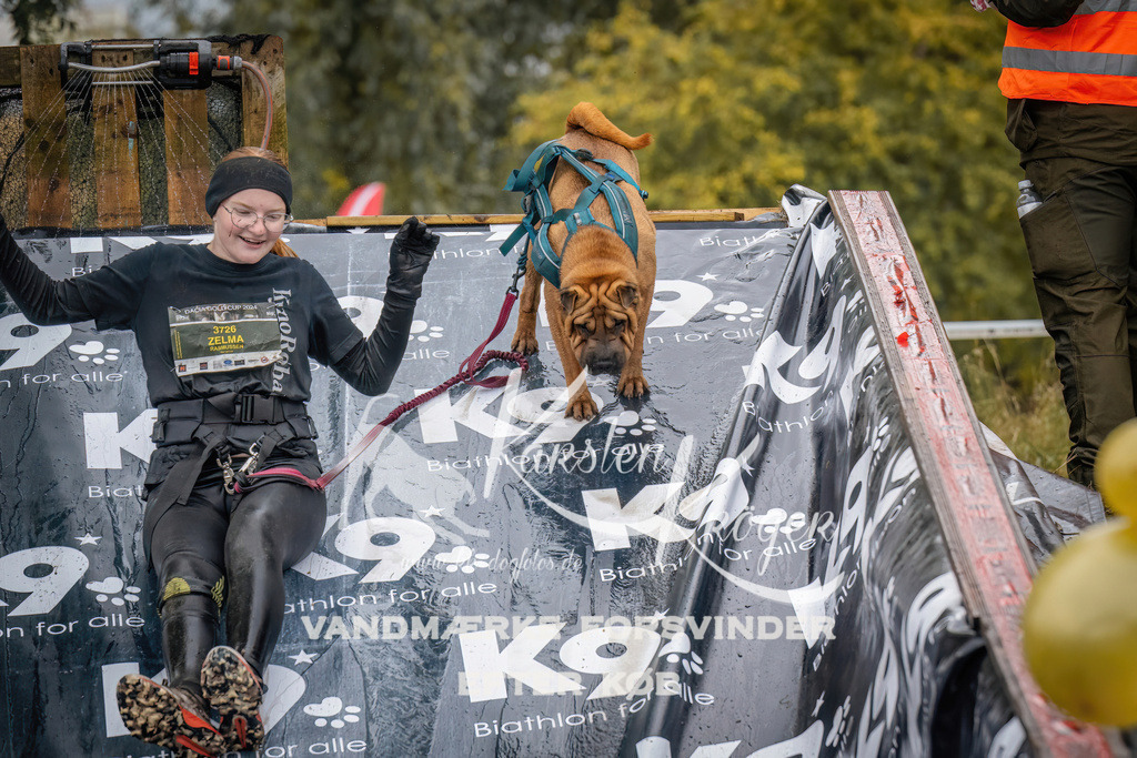 1220_ZZ94897 | kk-dogfotos