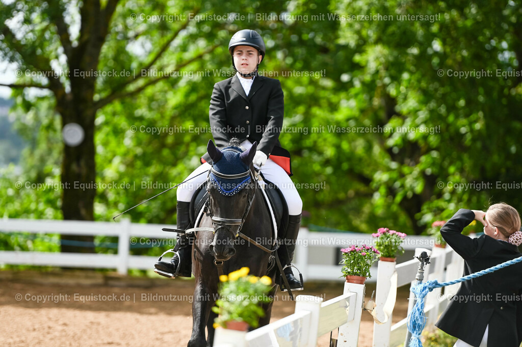 20230716_10-1_Reiter-WB Schritt - Trab - Galopp_0166 | equistock