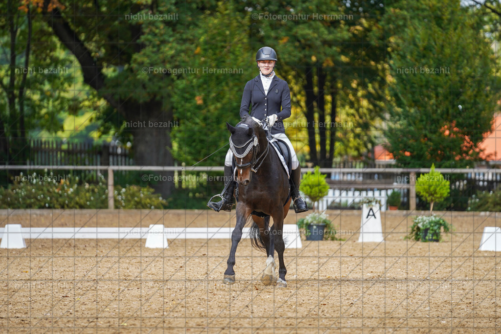 20221007-FAH09954 | Diessen am Ammersee, 2022, Dressur- und Springturnier, Reitsportbilder, Turnierfotografen Bayern, Pferdefotografen, Fotoagentur Herrmann, Turnierbilder