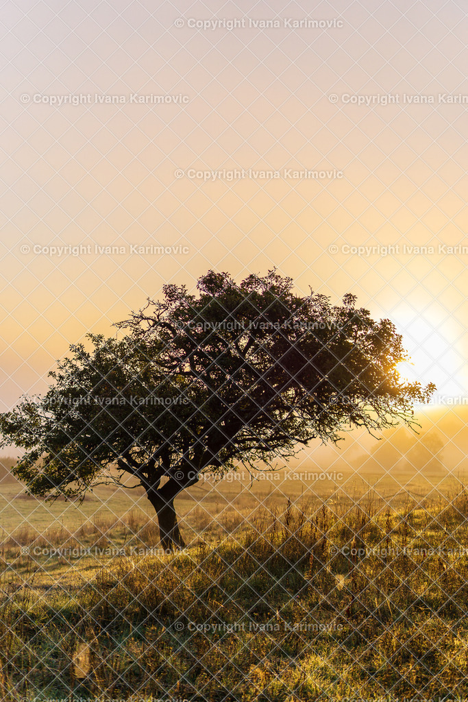 Treisbach  | ikphotography - Realisiert mit Pictrs.com