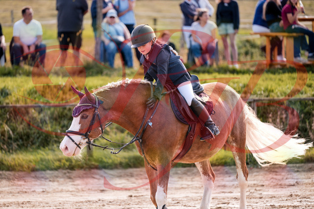 2026_10_03_Siefer-Hof_144535_Z81_21324209 | Professionelle Reitsport-, Turnier- und Eventfotografie von Robert Broda. Galerien mit ausgewählten und bearbeiteten Bildern direkt online ansehen und bestellen.