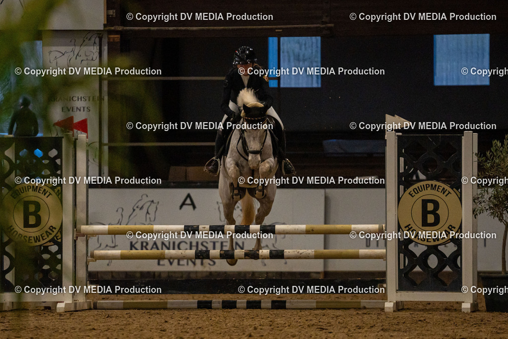 Kranichstein Tag 1-261 | dv-media-shop - Realisiert mit Pictrs.com