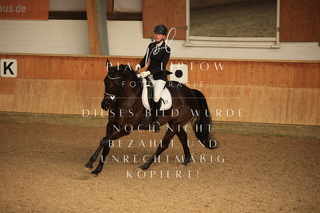 IMGT4567 | pl-fotografie