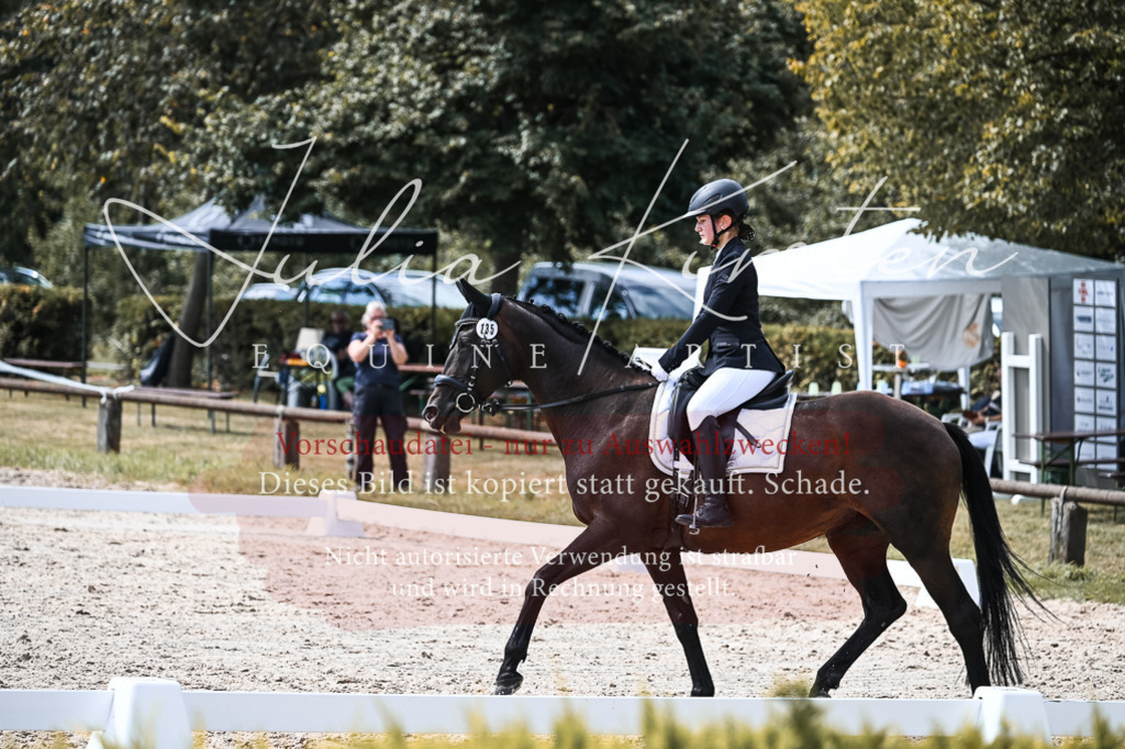 DSC_5272 | Pferde- und Turnierfotografie in Westsachsen. Pferdeportraits, Auftragszeichnungen und intuitive Kunst.