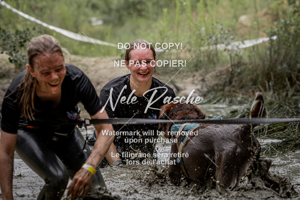 nelerasche_so0930-1000_380 | nelerasche