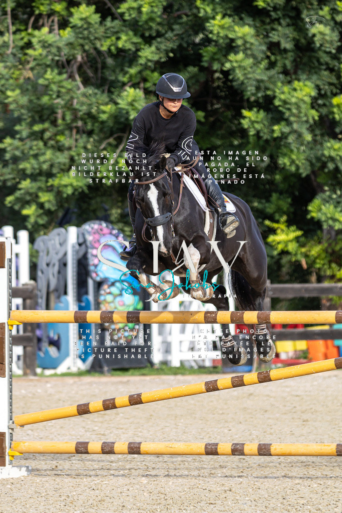 IMG_4536 | s-jay-photography - Realisiert mit Pictrs.com