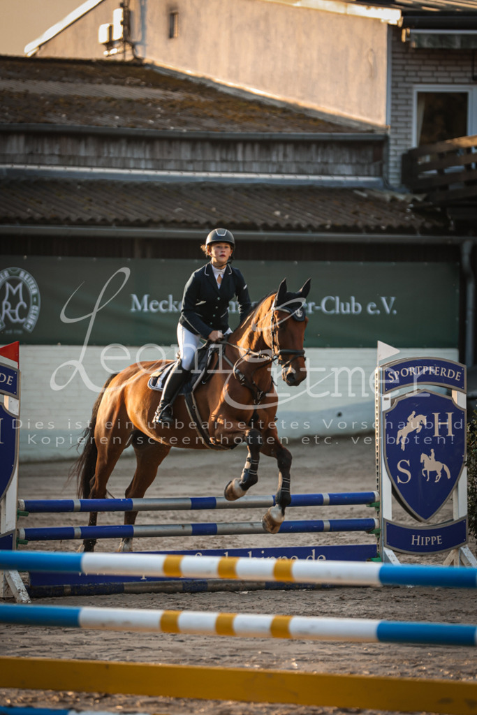 10.SaSpE00002 | Leoni Ertmer Photography - Realisiert mit Pictrs.com