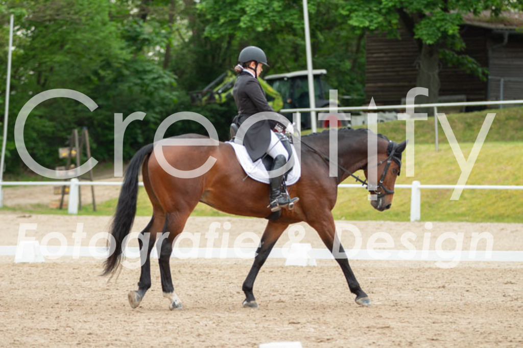 IMG_9797 | Creatify Fotografie