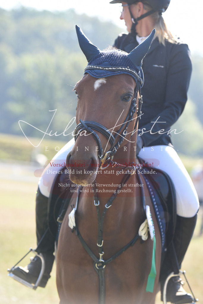 DSC_5485 | Pferde- und Turnierfotografie in Westsachsen. Pferdeportraits, Auftragszeichnungen und intuitive Kunst.