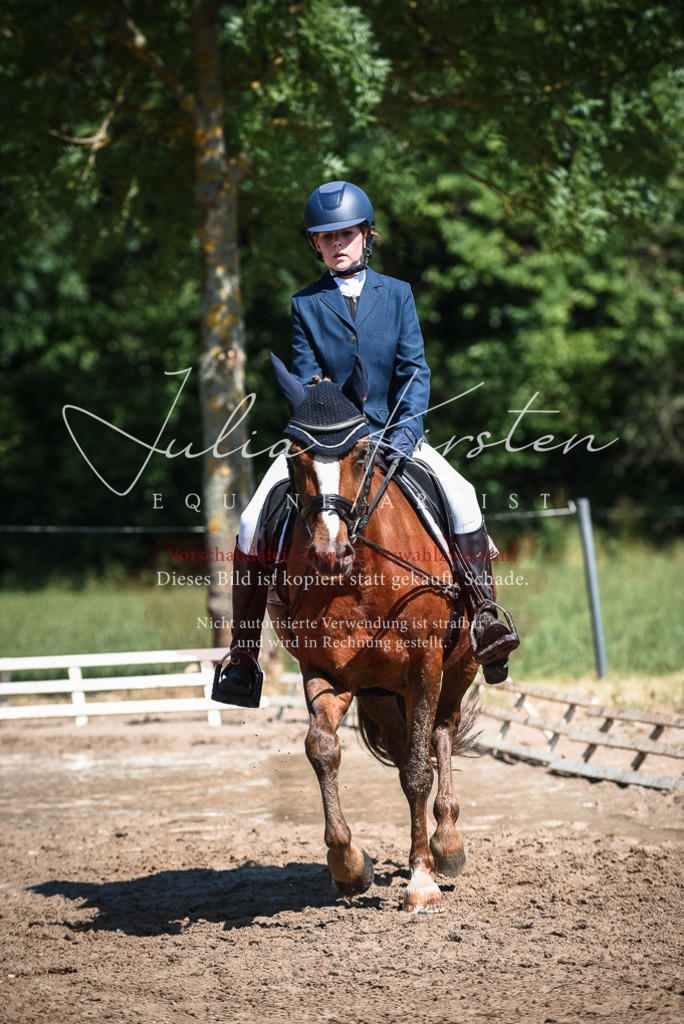 DSC_3524 | Pferde- und Turnierfotografie in Westsachsen. Pferdeportraits, Auftragszeichnungen und intuitive Kunst.