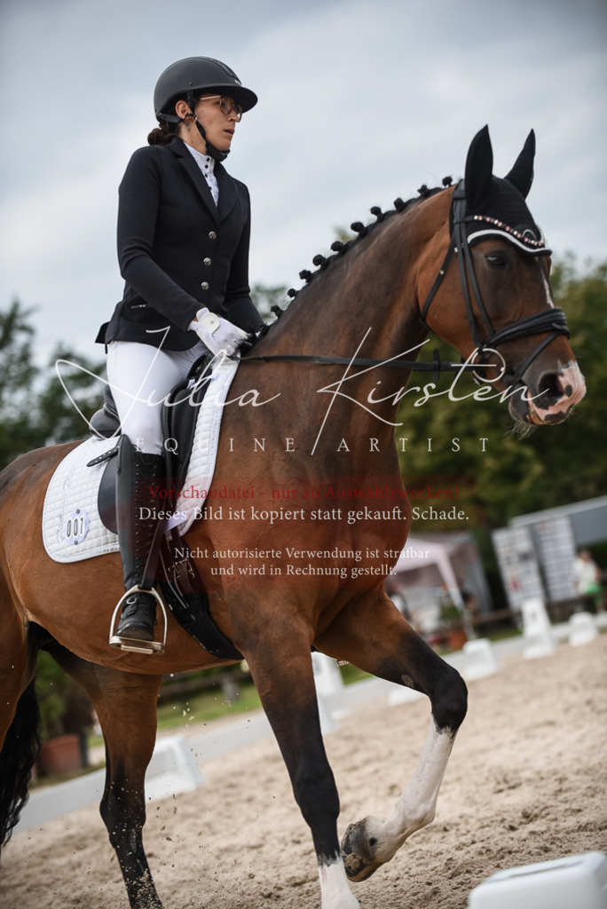 DSC_8569 | Pferde- und Turnierfotografie in Westsachsen. Pferdeportraits, Auftragszeichnungen und intuitive Kunst.