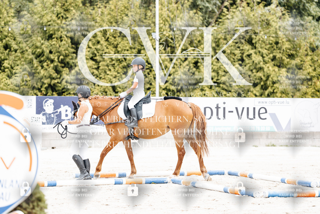 CK907106 | Turnierfotografie Pferdefotografie Trier Rheinland-Pfalz Pferdesport Reitsport Tierfotografie Sportfotografie Pferdevideo Pferdevideografie Equestrianvideography equestrianphotography  - Realisiert mit Pictrs.com