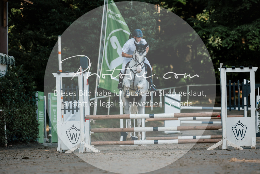 3I6A6239 | Stimmungsvolle Portraits und Reitsportfotografie im Ruhrgebiet und im Münsterland.

Pferdefotografie, Hundefotografie, Tierfotografie, Reportagen, Portraits von Tier und Mensch, Turnierfotografie in Bochum, Recklinghausen, Marl, Haltern am See, Dülmen.. - Realisiert mit Pictrs.com
