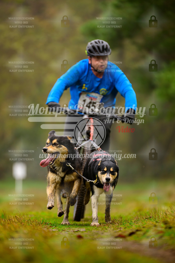 MompixPhotography_Bischwiller2025_Bike-125 | mompixphotography