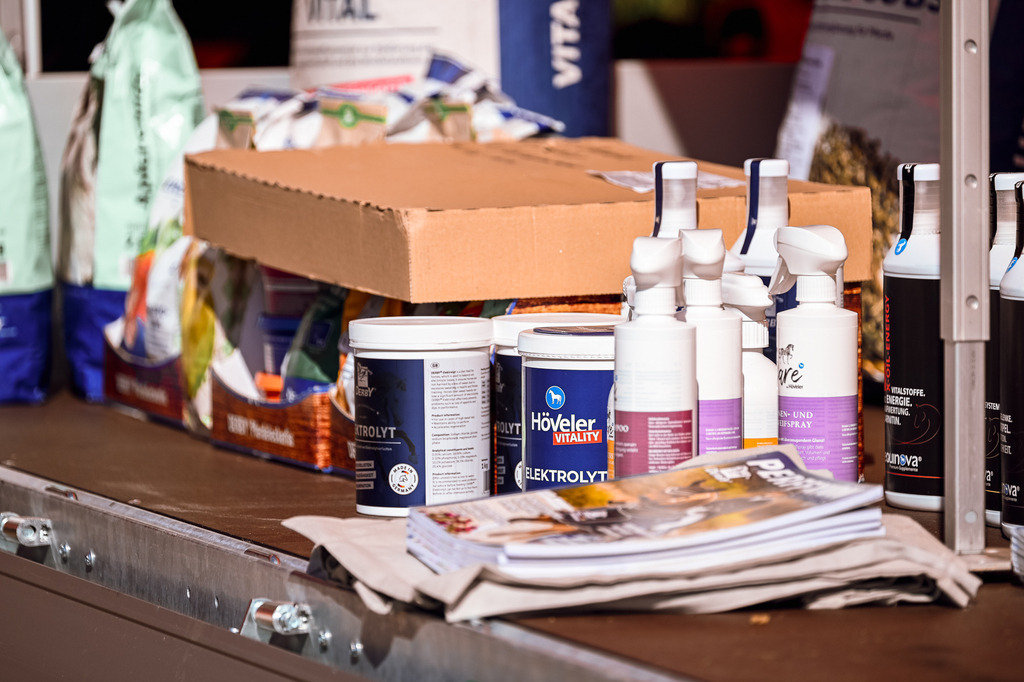 DSC_1216 | Pferde- und Turnierfotografie in Westsachsen. Pferdeportraits, Auftragszeichnungen und intuitive Kunst.