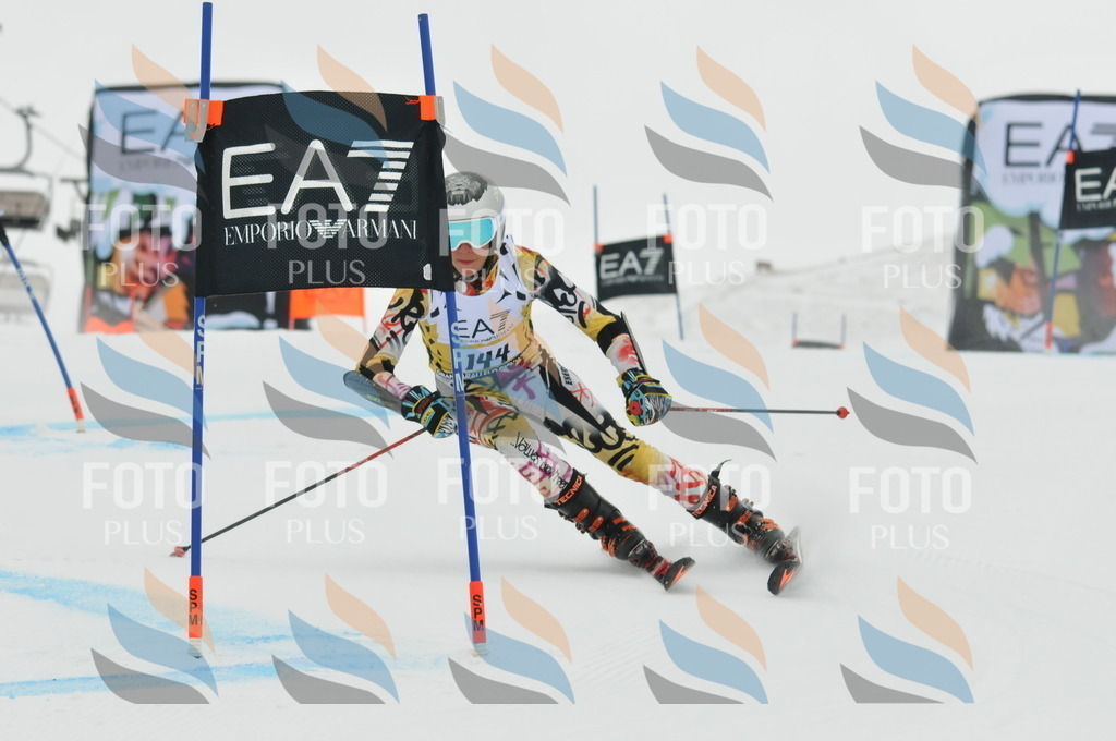 DSC_8398 | holidayphoto