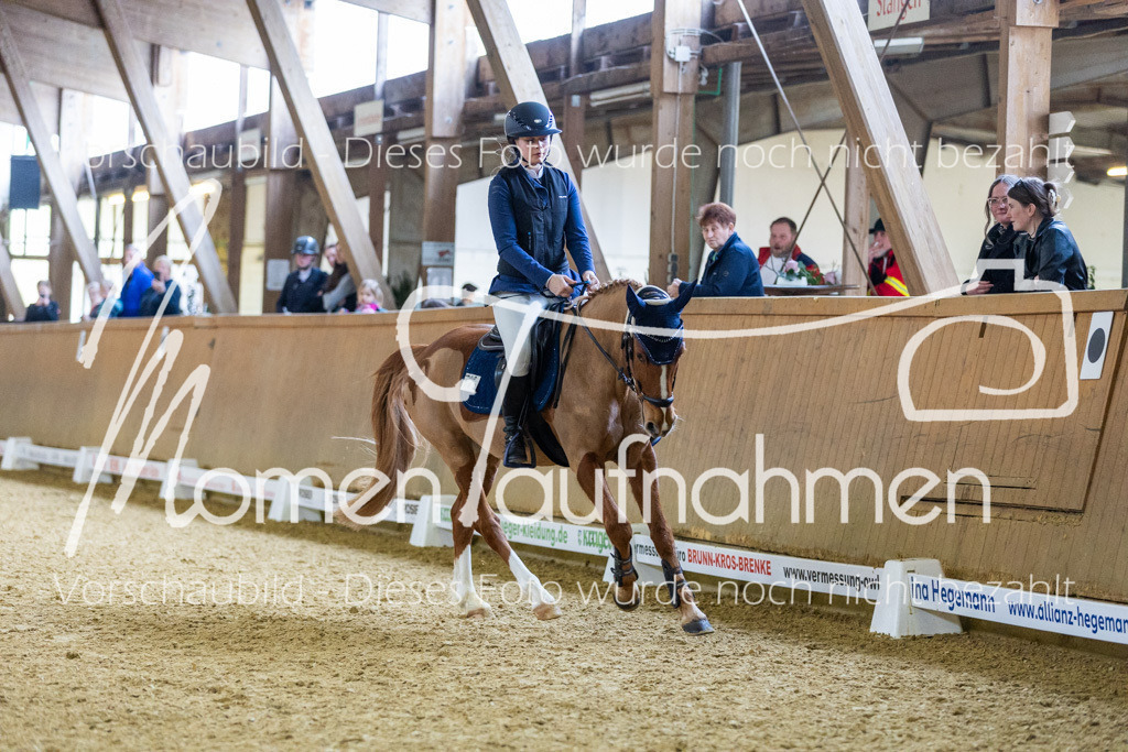 Sth-LPO25-Kombi-074 | MomenTaufnahmen Pferdesportfotos