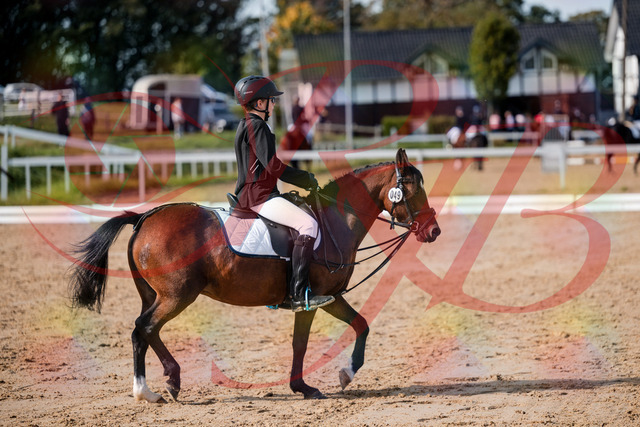 2026_10_03_Siefer-Hof_122020_Z63_42876543 | Professionelle Reitsport-, Turnier- und Eventfotografie von Robert Broda. Galerien mit ausgewählten und bearbeiteten Bildern direkt online ansehen und bestellen.