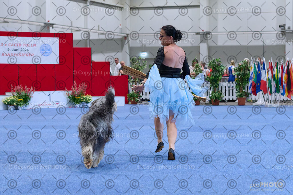 202406_ÖKV-IHA-Tulln24_DSC_5281 | proPHOTO - Realisiert mit Pictrs.com