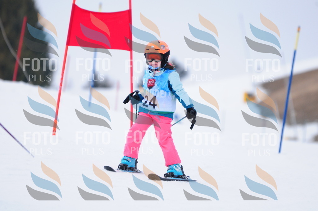 A3428 | holidayphoto