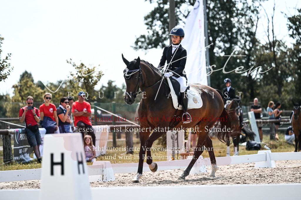 DSC_5785 | Pferde- und Turnierfotografie in Westsachsen. Pferdeportraits, Auftragszeichnungen und intuitive Kunst.
