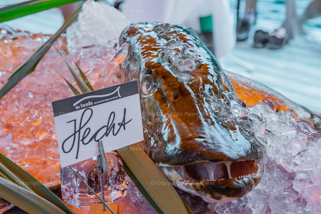 Slow Food Weissensee edit-9 | piet_flosse