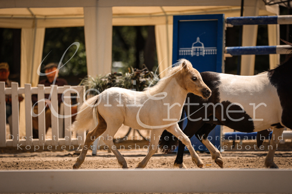 01.DoKR00077 | Leoni Ertmer Photography - Realisiert mit Pictrs.com