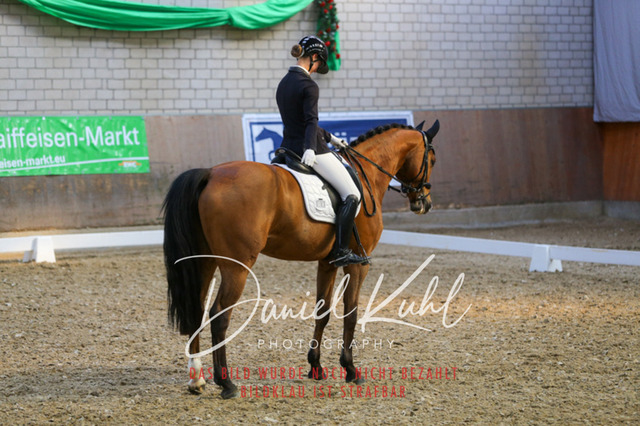 IMG_2609 | Turnierfotos kaufen im Webshop von Daniel Kuhl Photography – entdecke professionelle Reitsportfotos aus Turnieren & Events. Hochwertige Turnierbilder online bestellen & sichern. Jetzt Fotos von Reitsportturnieren kaufen!