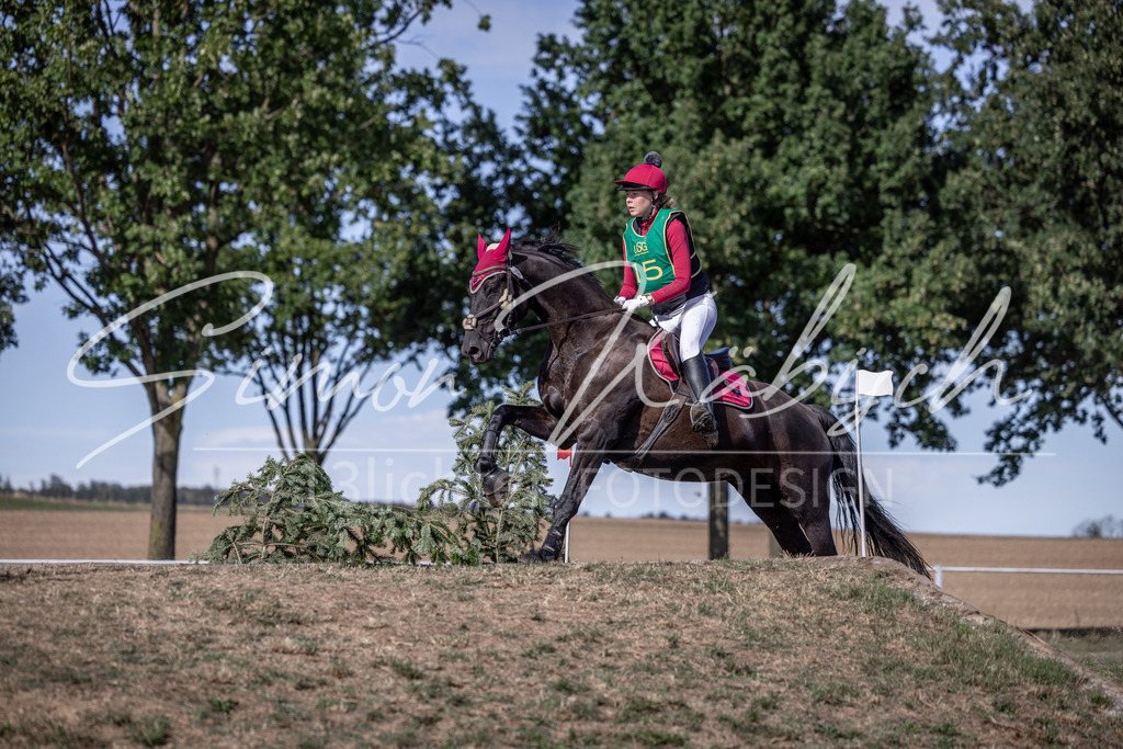 20260906-_3LI6229 | Tierfotografie Pferde, Hunde, Katzen, Haustiere.
Turnierfotografie Reitturniere, Reiten, Springreiten, Dressur in Hanau, dem Main-Kinzig-Kreis und dem Rhein-Main- Gebiet um Frankfurt