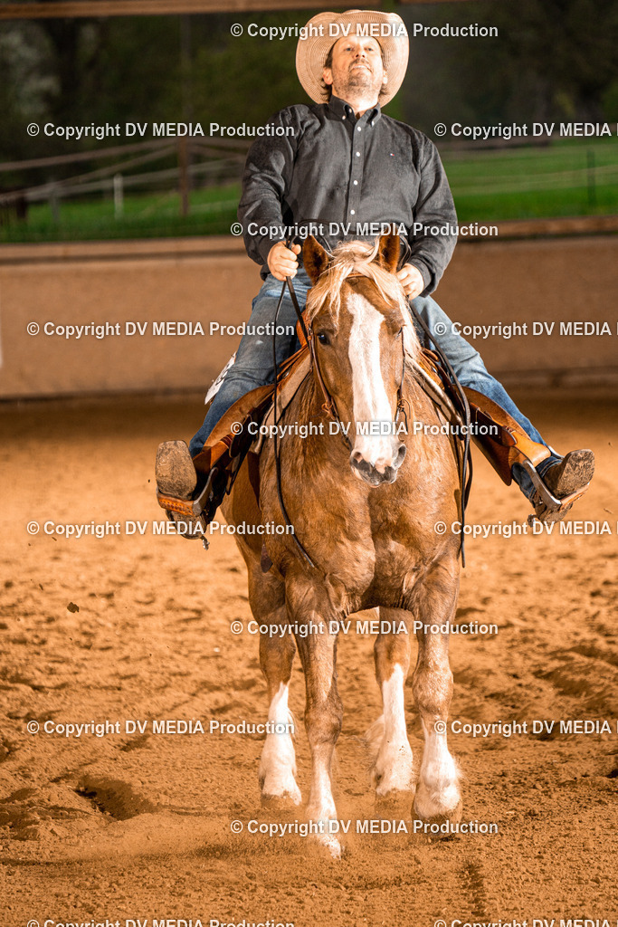 BAL01113 | dv-media-shop - Realisiert mit Pictrs.com