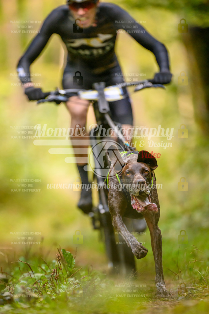 MompixPhotography_Yens2025_B2-1 | PayLife