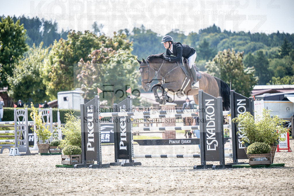 DOS_7907 | Entdecke hochwertige Reitturnierfotos von Foto Oger. Professionell, emotional und authentisch – jetzt Lieblingsmomente im Shop bestellen.Deutschlandweite Turnierfotografie. - Realisiert mit Pictrs.com