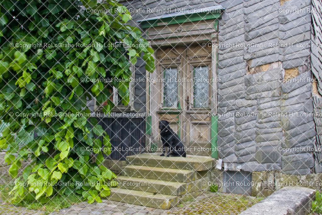 Altes-Haus-02-F | Altes Haus, Hauseingang mit Steintreppe auf der ein schwarzer Labrador sitzt - Realisiert mit Pictrs.com