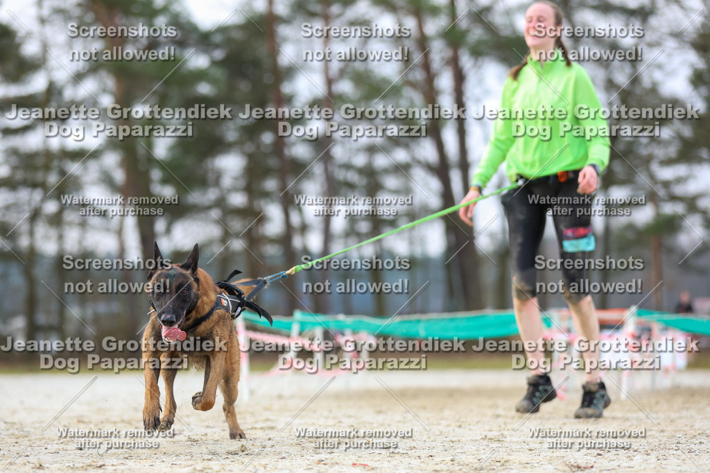 Dog Paparazzi - Strongdog North Mrz26-3940 | Dog Paparazzi Jeanette Grottendiek Fotografie & Videografie - Realisiert mit Pictrs.com
